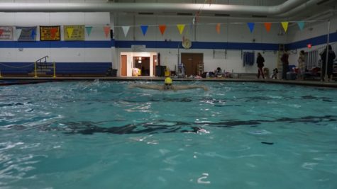 Senior Karmen Hales, swimming the 100-meter breaststroke. Photo courtesy of Emma Mayne.