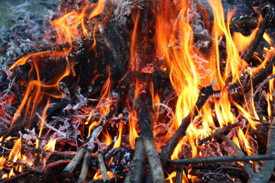 Closeup of a high intense bonfire burning.