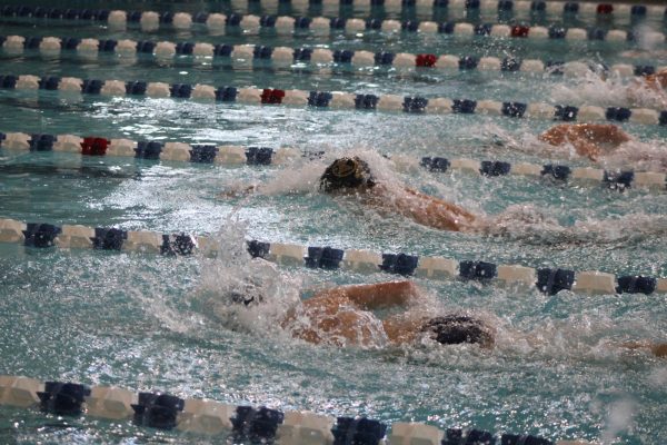 Every swim meet will have tight and fast races to keep you on the edge of your seat. Photo courtesy of Bryce Ruder. 
