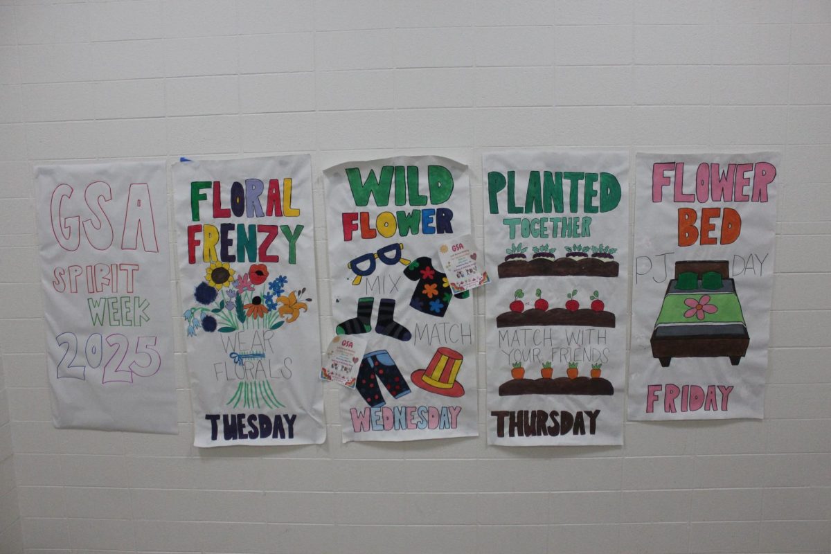 Recently, the GSA club held a spirit week for the whole school to commemorate a day that holds special meaning to the LGBTQ+ community.
