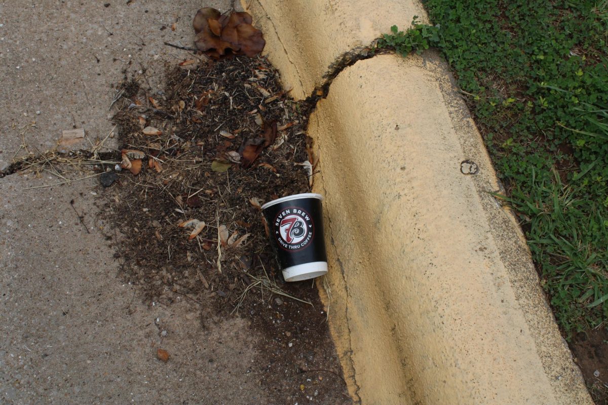 Seven Reasons Why I Hate Seven Brew