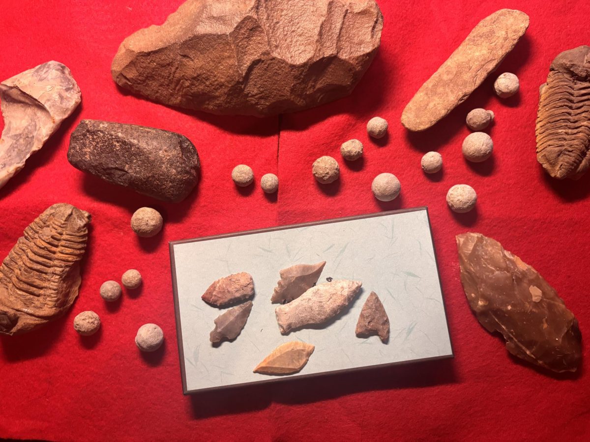 Typical artifacts from the Ozarks consist of prehistoric and indigenous finds such as trilobites or stone tools. Arrowheads from Native American tribes and Civil War weapons are also present representing more recent history.