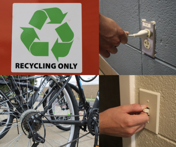 Protecting the ozone starts with you; conserve energy, recycle, and choose eco-friendly transportation.