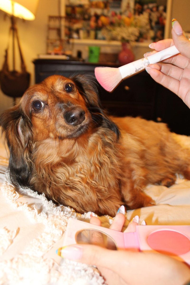 Painful experiments raise questions about ethics and necessity.